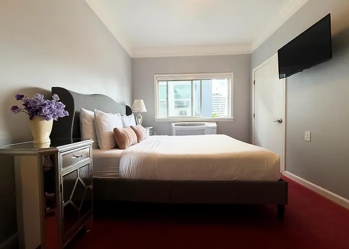 Dog friendly hotels Hollywood