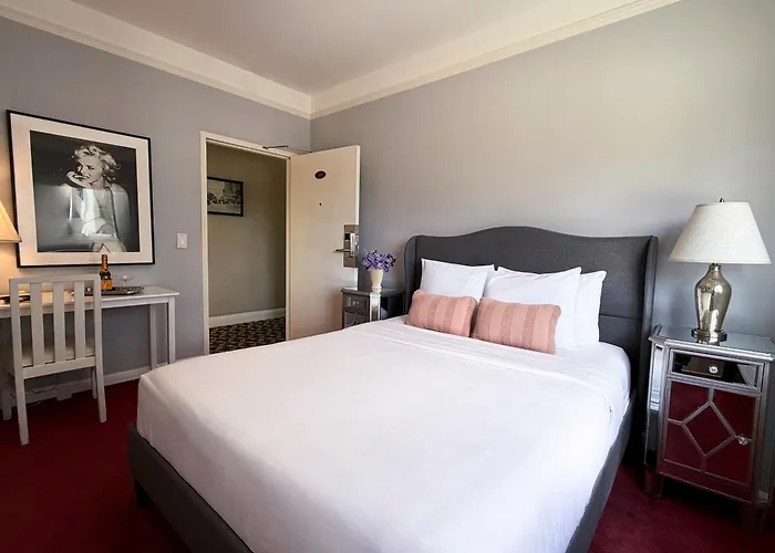 Dog friendly hotels Hollywood