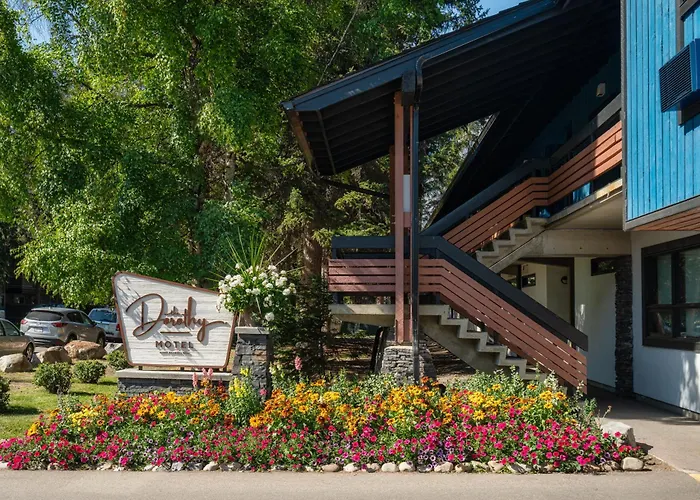 Pet Friendly hotel: The Dorothy Motel