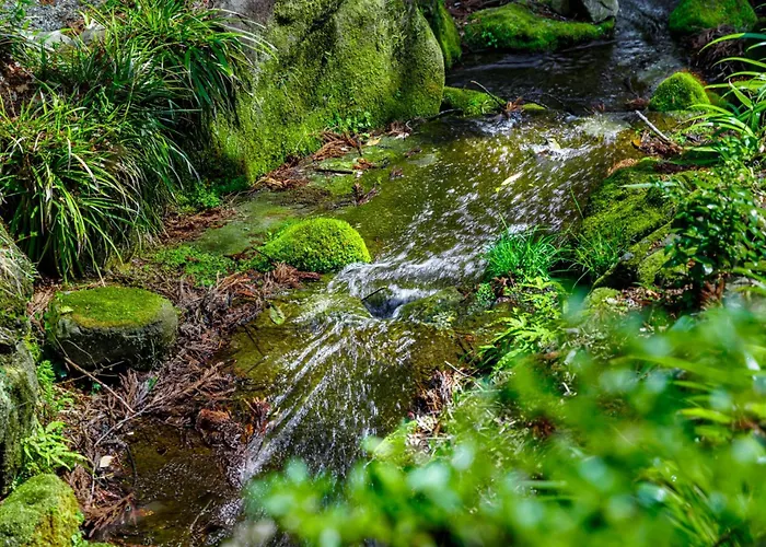 Design hotel Hakone Kowakien