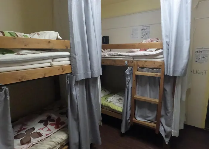 Zamamia International Guesthouse