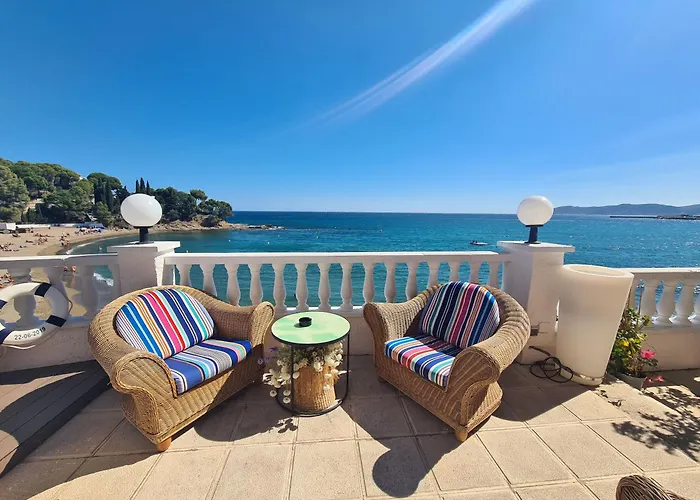 Grifeu