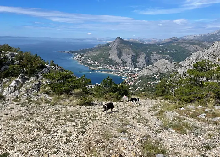 Hostel & Private Rooms Dalmatia