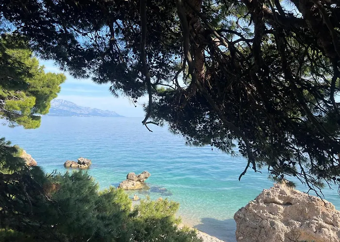 Hostel & Private Rooms Dalmatia