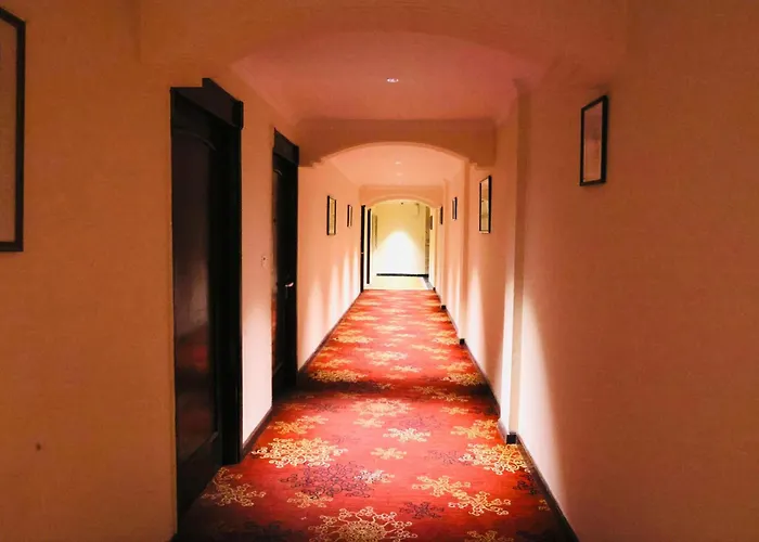 Ping pong hotels Royal Orchid Fort Mussoorie