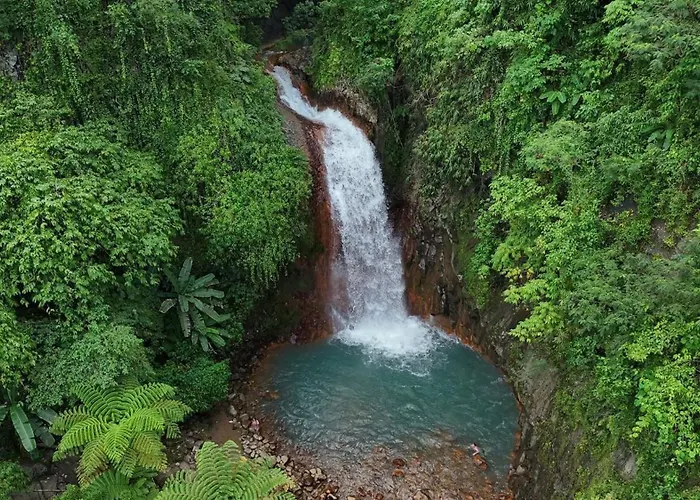 Pulangbato Falls Mountain Resort
