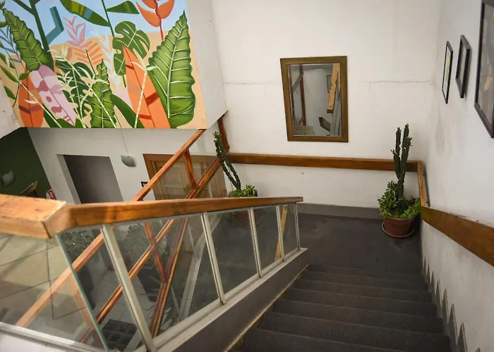 Maison Verte - Guest House