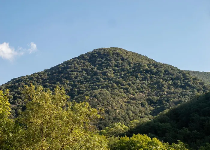 Bed And Breakfast Casanova De Sant Miquel