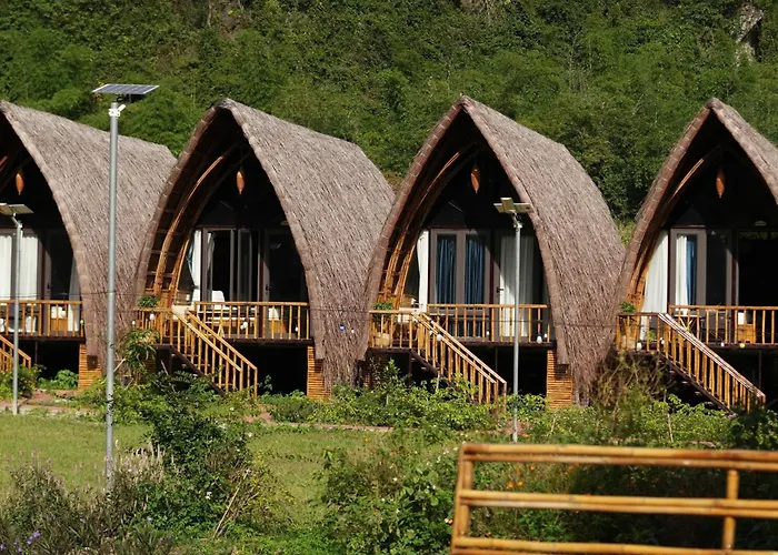Woodstock Jungle Camp
