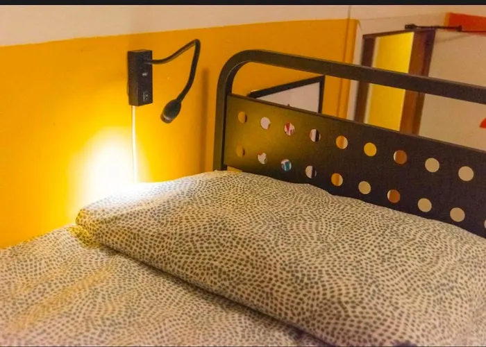 Sunflower City Student Hostel & Bar