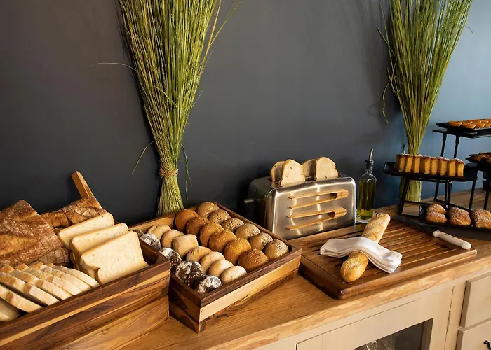 Dog friendly hotels Se Catedral Porto, Tapestry Collection By Hilton