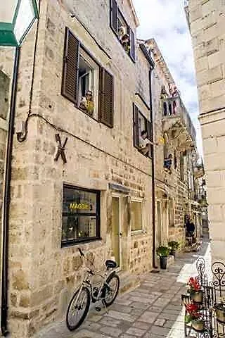 White Rabbit Hostel
