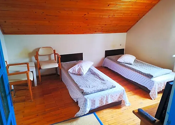 Flava Hostel