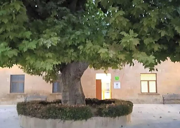 Albergue De Maella