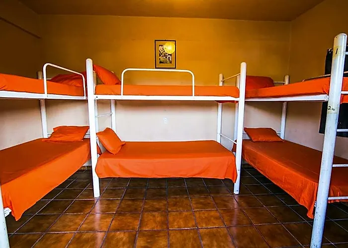Oasis Hostel