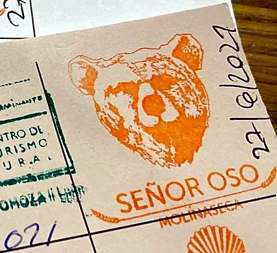 Señor Oso
