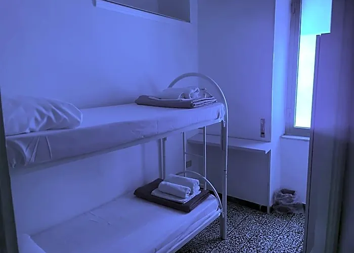 Dama Hostelbb