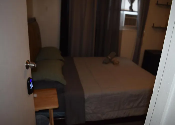 Miami Drip Star Life Hostel
