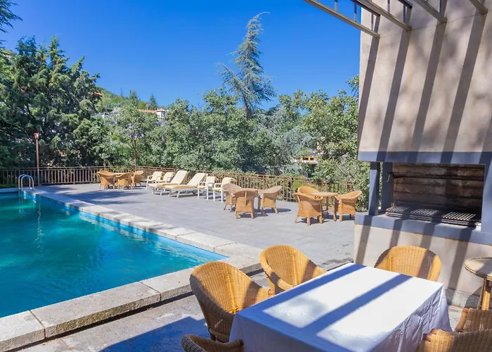 Raiz Natura Coliving Miraflores
