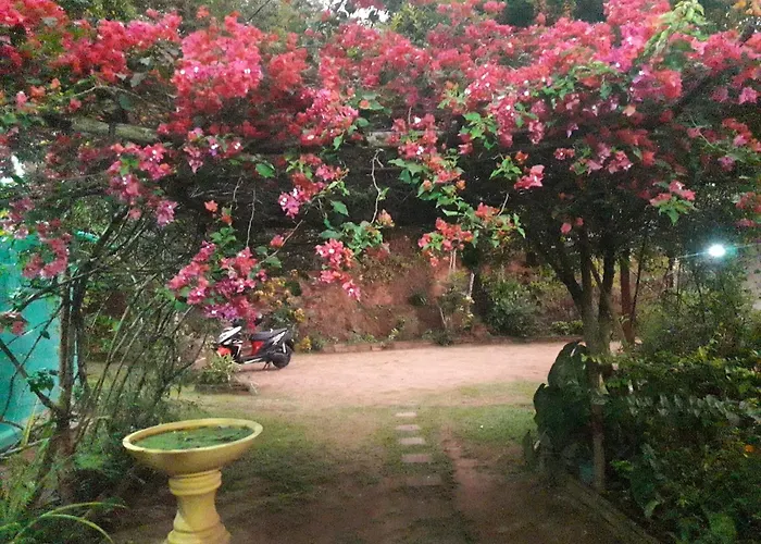 The 1964 Holiday Bungalow