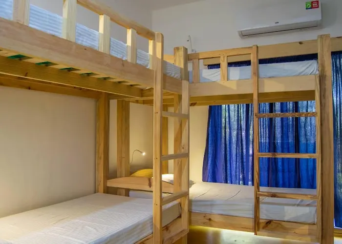 Green Nest Hostel - Anjuna , North Goa
