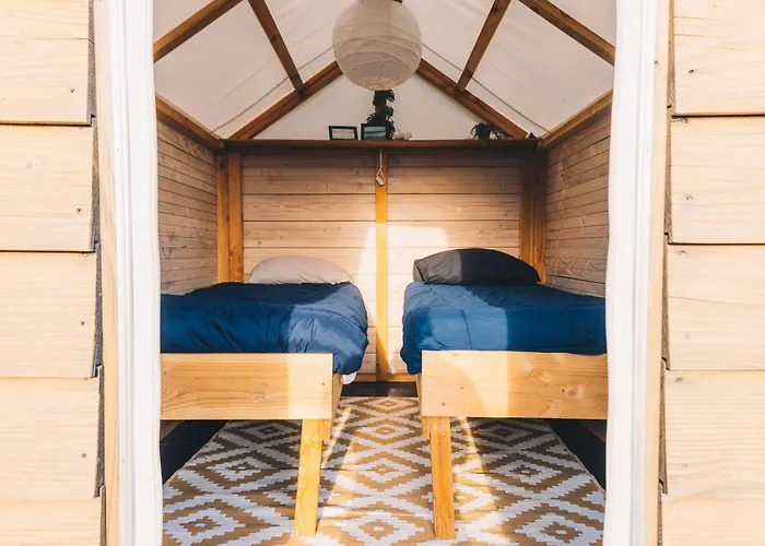 Surfana Vlieland Surf Host En Bed & Breakfast