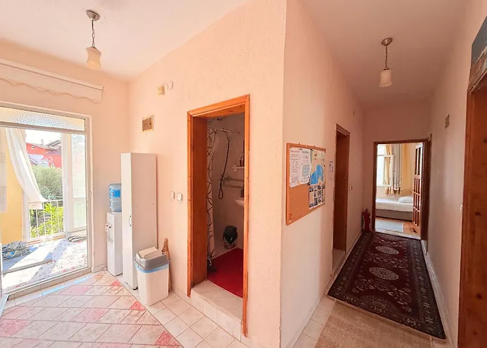 Adventurous Local Hostel