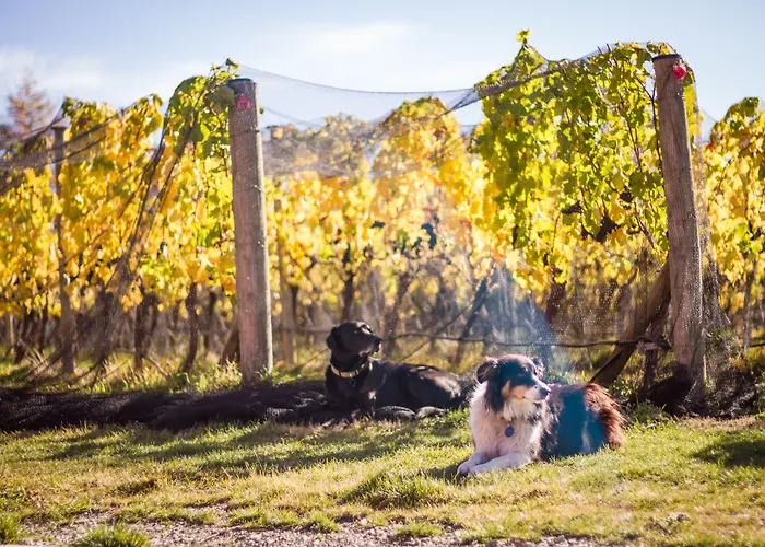 Gibbston Valley Lodge And Spa