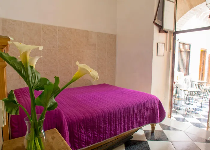 Casa Lupita Hostel
