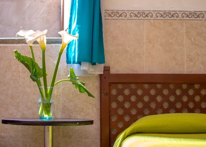 Casa Lupita Hostel