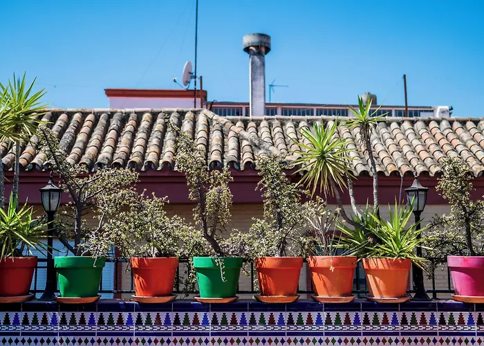 Hostel Triana Backpackers