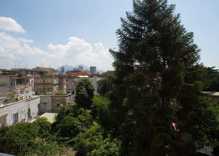 Animaux admis B&B Napolimilionaria Foria 242