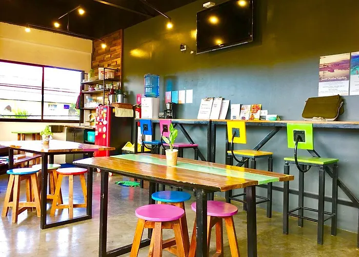 Pet Friendly hotel: Moon Fools Hostel