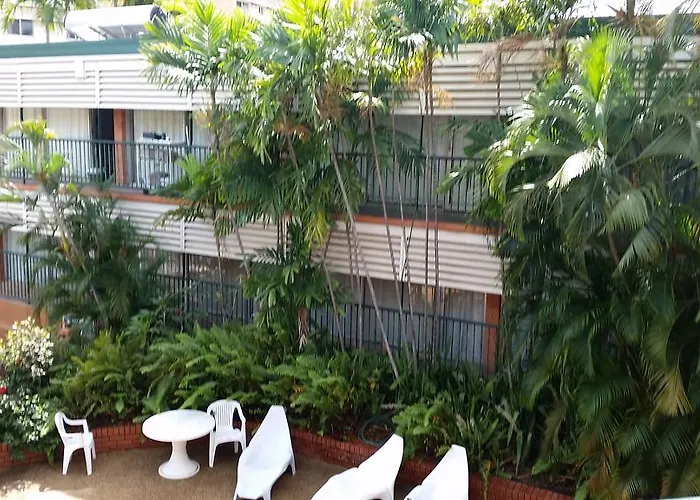 Palms