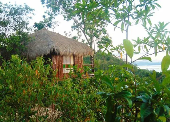 Sanctuaria Treehouses