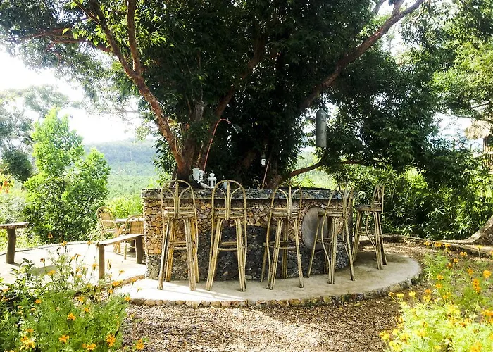 Sanctuaria Treehouses