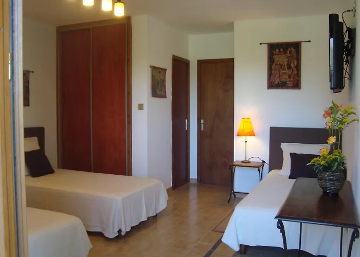 B&B: Chambres d'hôtes Les Palmiers de la Cité