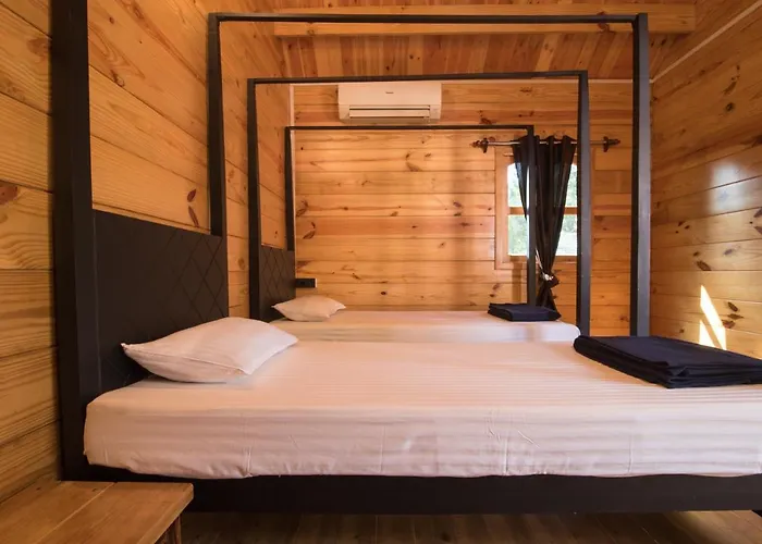 Dreams Hostel