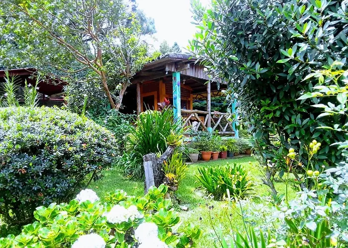 Hostal Cabanas Ave Maria