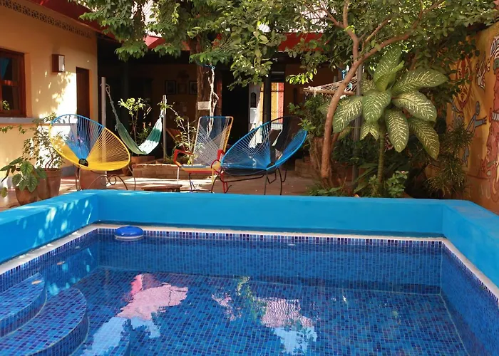 Hostal La Tortuga Booluda