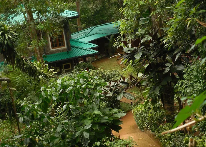 Le Leopard D 'Argent