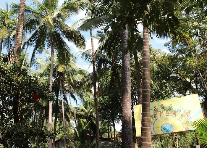 The Peace Hostel - Arambol, Goa