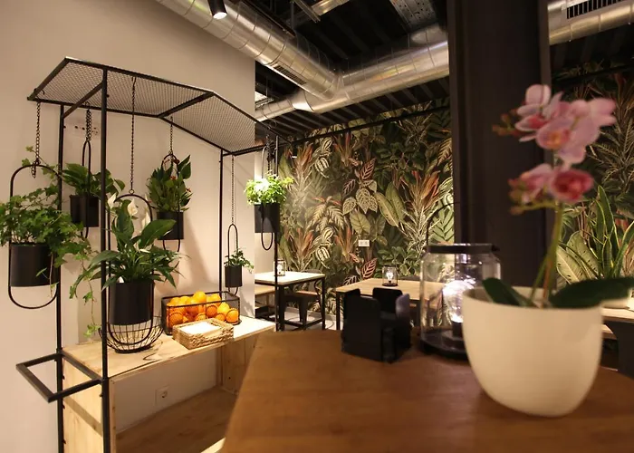 Vtz The Botanic Hostel