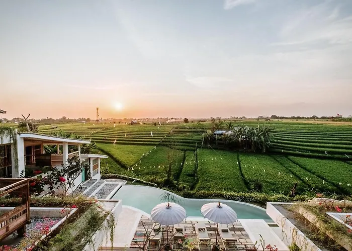 Hotel with view: Boho Canggu